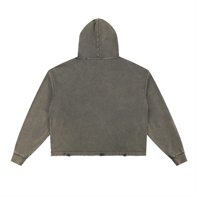AQUEOUS — Hoodie + Digital Download + eBook - Avodah Dynamics