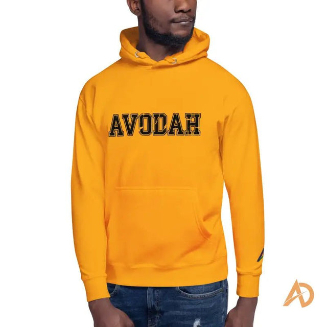 The Avodah Varsity Hoodie - Avodah Dynamics