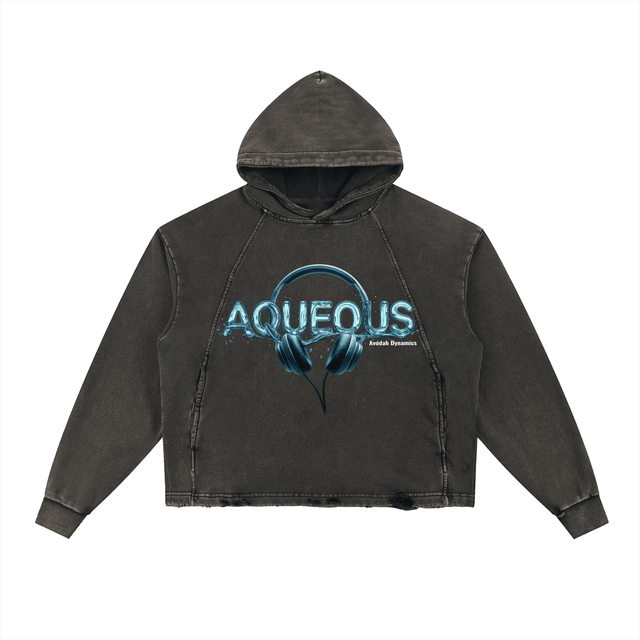 AQUEOUS — Hoodie + Digital Download + eBook - Avodah Dynamics